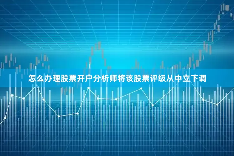 怎么办理股票开户分析师将该股票评级从中立下调