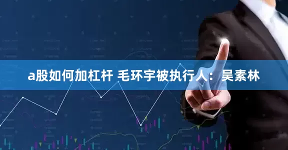 a股如何加杠杆 毛环宇　　被执行人：吴素林