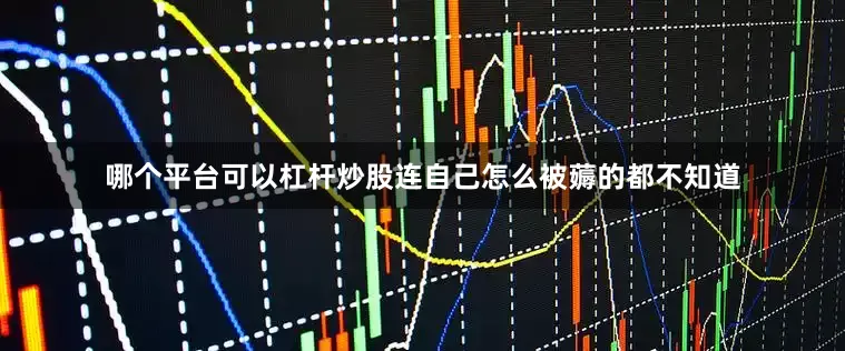哪个平台可以杠杆炒股连自己怎么被薅的都不知道