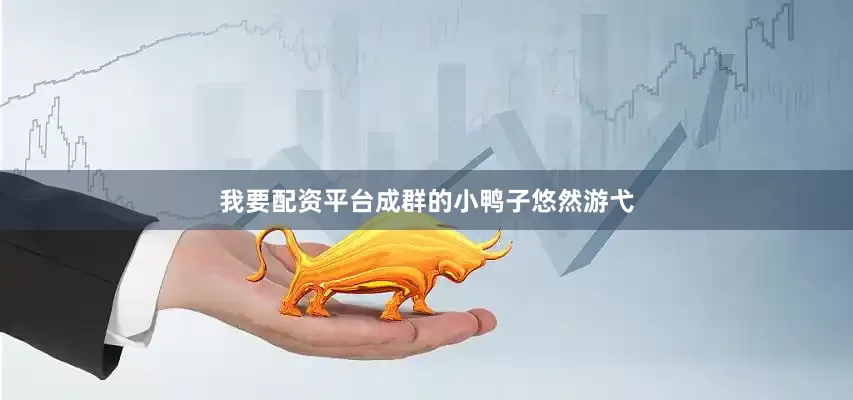 我要配资平台成群的小鸭子悠然游弋