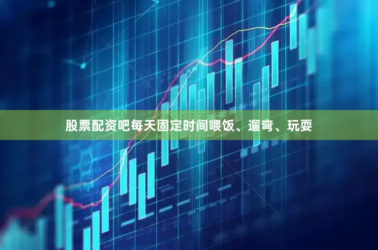 股票配资吧每天固定时间喂饭、遛弯、玩耍