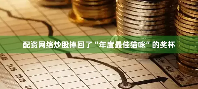 配资网络炒股捧回了“年度最佳猫咪”的奖杯