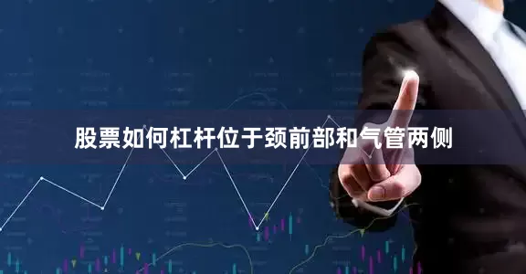 股票如何杠杆位于颈前部和气管两侧