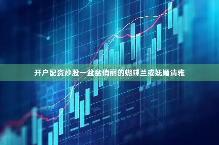 开户配资炒股一盆盆俏丽的蝴蝶兰或妩媚清雅